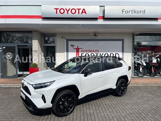 Toyota RAV4 Hybrid Style AWD 4x4 - AHK, LED, BT, Navi, PDC
