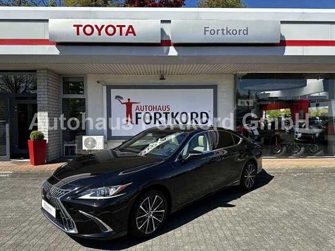 Lexus ES 300h Executive Line - LED, Pano, Leder
