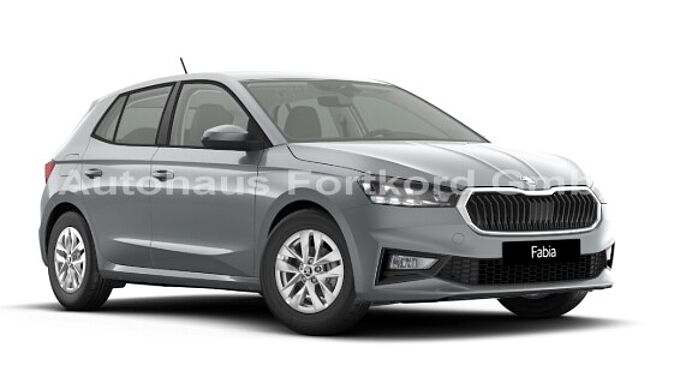 SKODA Fabia 1.0 TSI Young Edt. - SHZ, LED, BT, ...