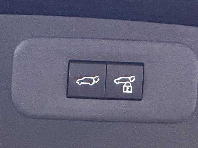 Lexus NX450h+ 4x4 Business - Navi, PDC, Leder, TW, SZ