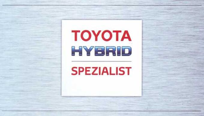 Toyota RAV4 Hybrid Style AWD 4x4 - AHK, LED, BT, Navi, PDC