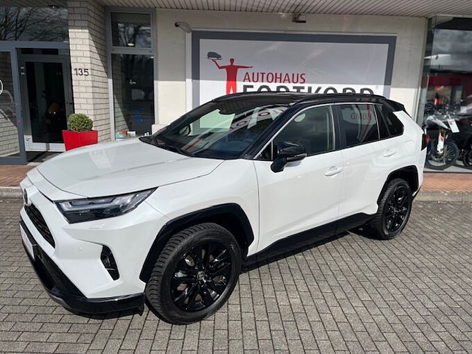 Toyota RAV4 Hybrid Style AWD 4x4 - AHK, LED, BT, Navi, PDC