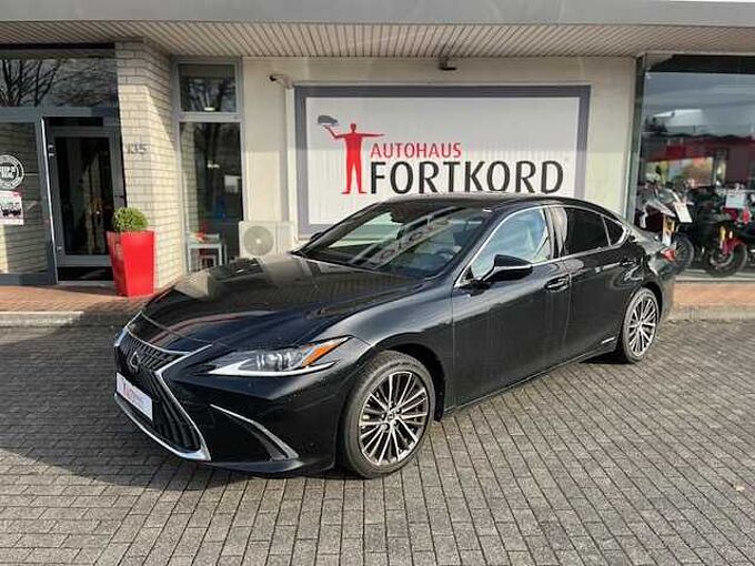 Lexus ES 300h Executive Line - LED, Pano, Leder