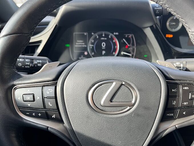 Lexus ES 300h Executive Line - LED, Pano, Leder