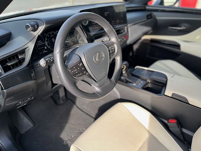 Lexus ES 300h Executive Line - LED, Pano, Leder