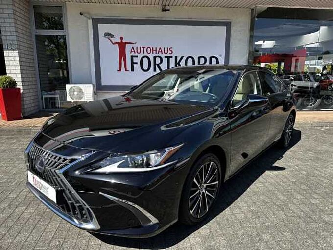 Lexus ES 300h Executive Line - LED, Pano, Leder