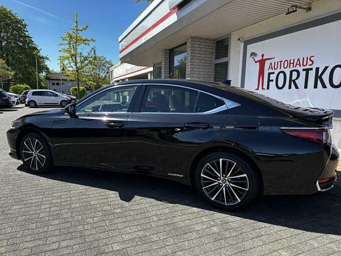 Lexus ES 300h Executive Line - LED, Pano, Leder