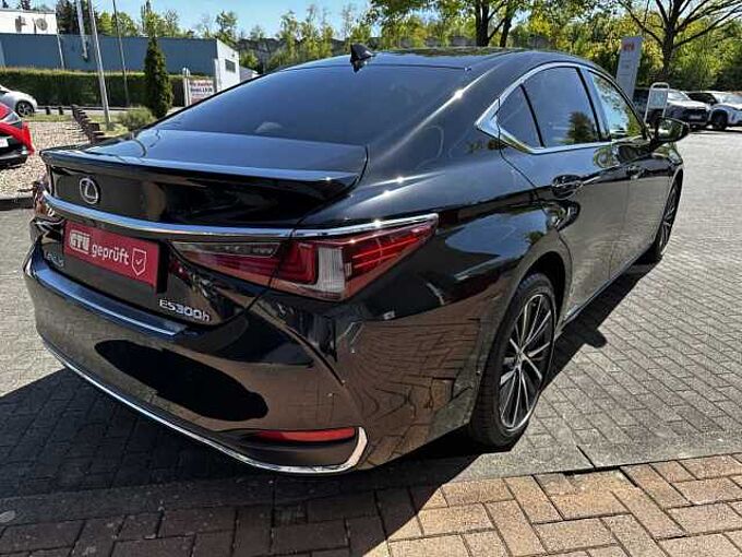 Lexus ES 300h Executive Line - LED, Pano, Leder