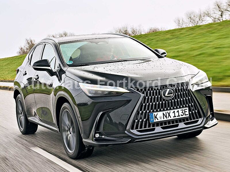 Lexus NX450h+ 4x4 Business - Navi, PDC, Leder, TW, SZ