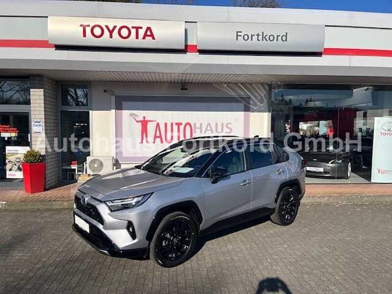 Toyota RAV4 Hyb. Style 4x2 -  LED, Navi,  JBL, PDC+360&deg;