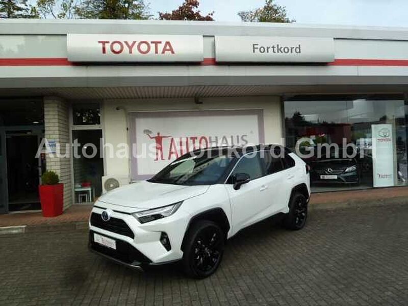 Toyota RAV4 Hybrid Style AWD 4x4 - AHK, LED, BT, Navi, PDC