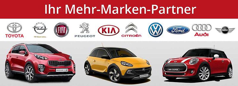 Fiat 500C 1.2 Lounge Cabrio - Navi, PDC, Klima, Alu, BT