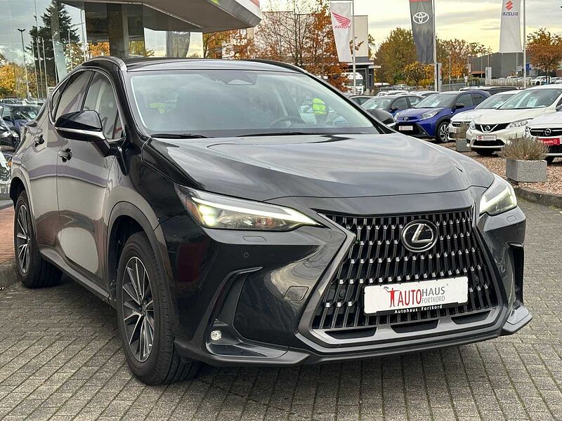 Lexus NX450h+ 4x4 Business - Navi, PDC, Leder, TW, SZ