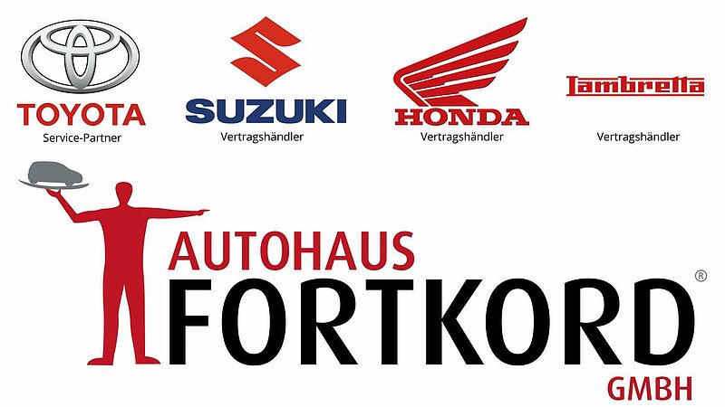 Toyota C-HR 2.0 Hybrid Team D - SH, Bhz. Lenkr. , Parkass. , Navi, LED .. .