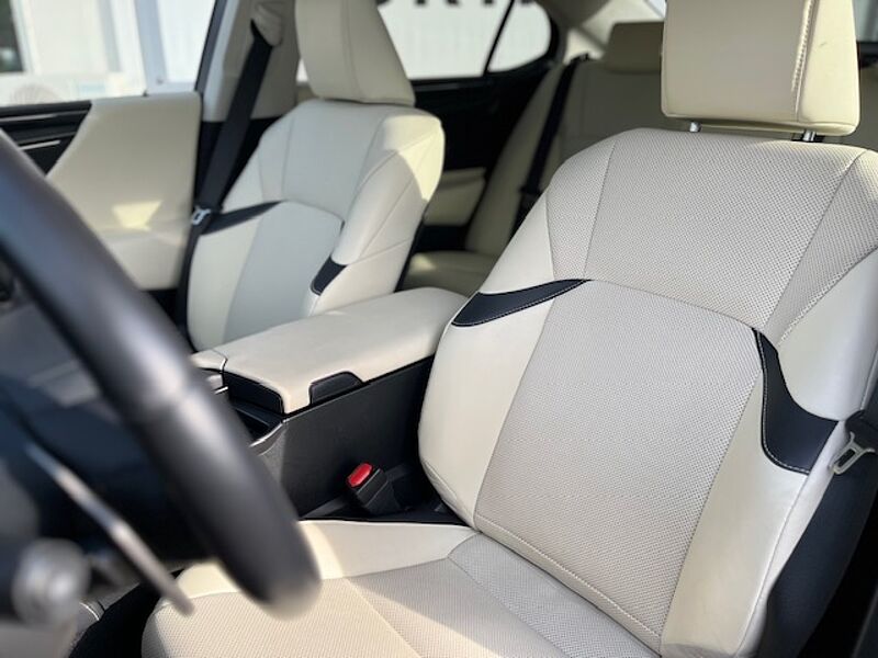 Lexus ES 300h Executive Line - LED, Pano, Leder