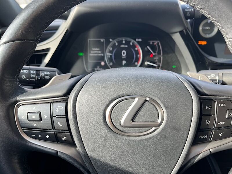 Lexus ES 300h Executive Line - LED, Pano, Leder