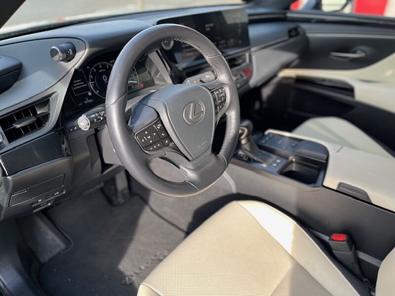 Lexus ES 300h Executive Line - LED, Pano, Leder