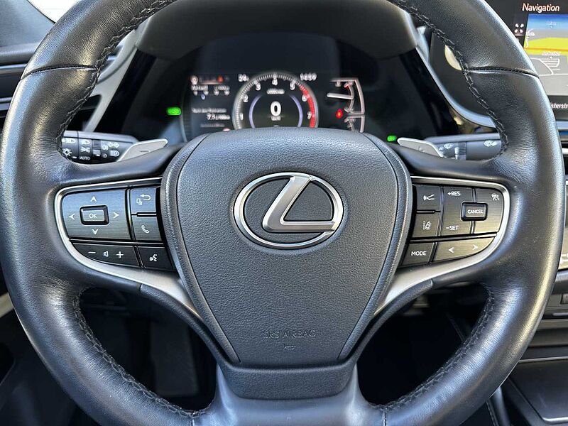 Lexus ES 300h Executive Line - LED, Pano, Leder