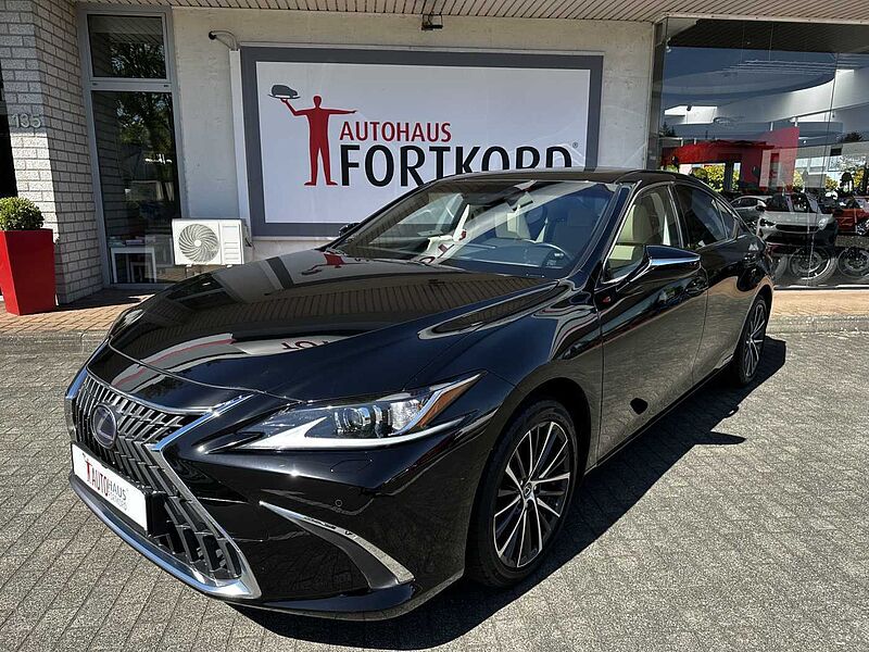 Lexus ES 300h Executive Line - LED, Pano, Leder