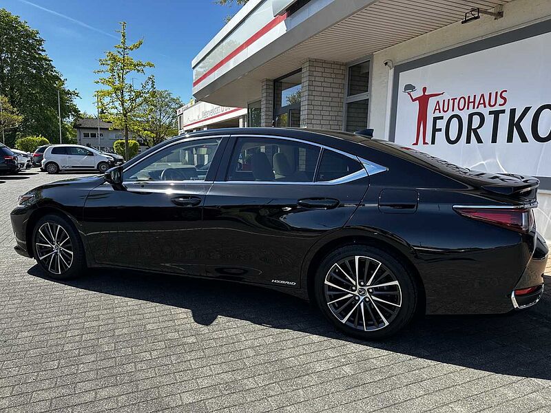 Lexus ES 300h Executive Line - LED, Pano, Leder