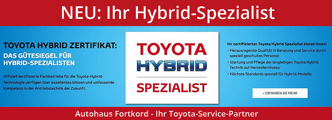 Hybrid Service Spezialist